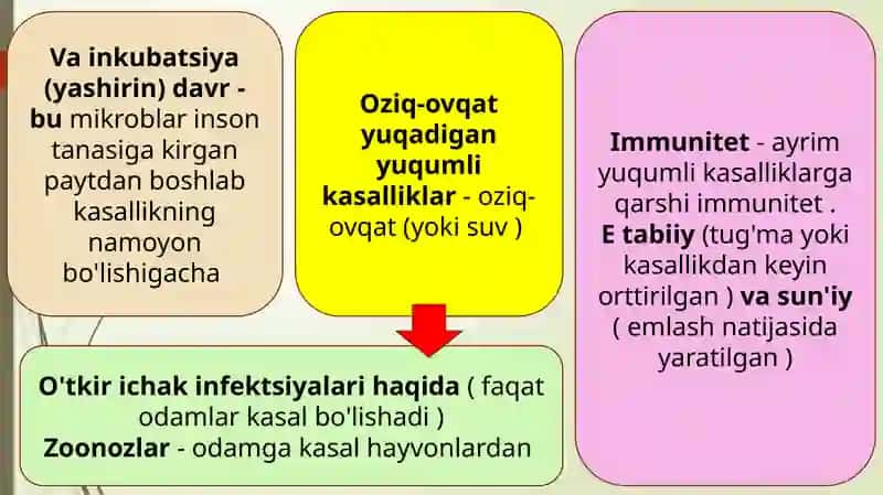 Patogenmikroorganizmlar 4