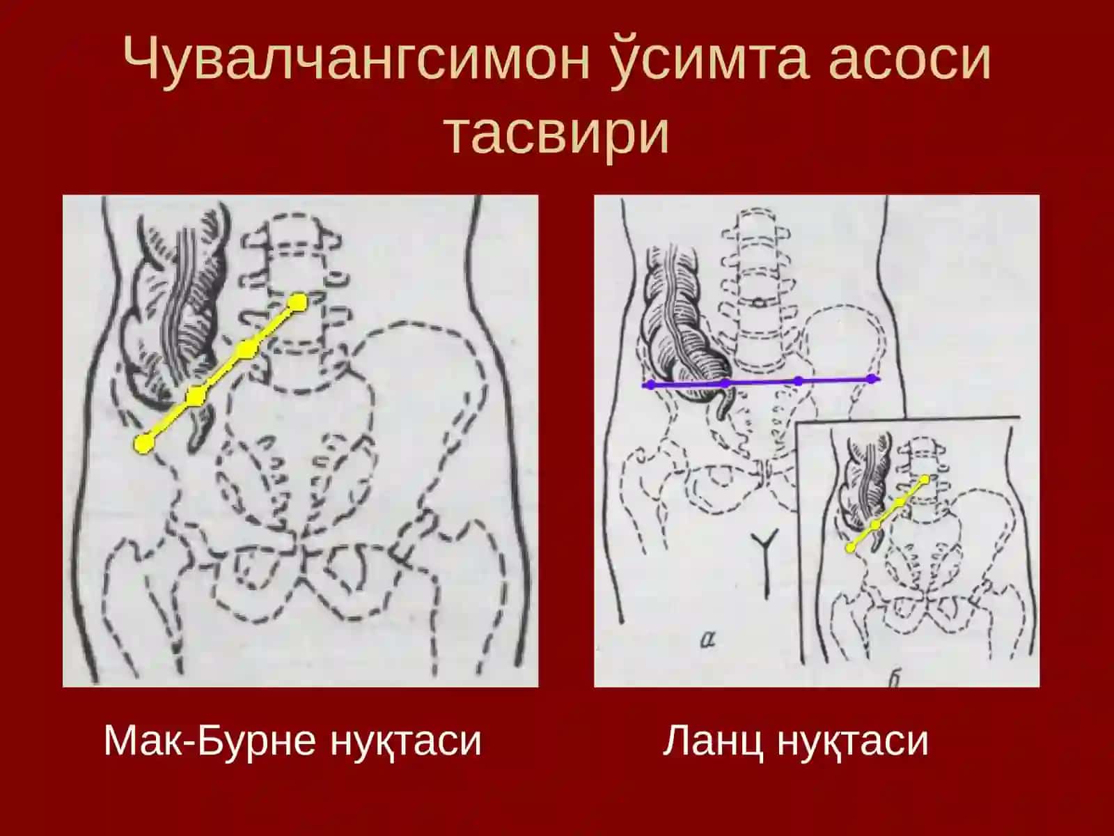 Қорин олд-ён деворининг жарроҳлик анатомияси 4