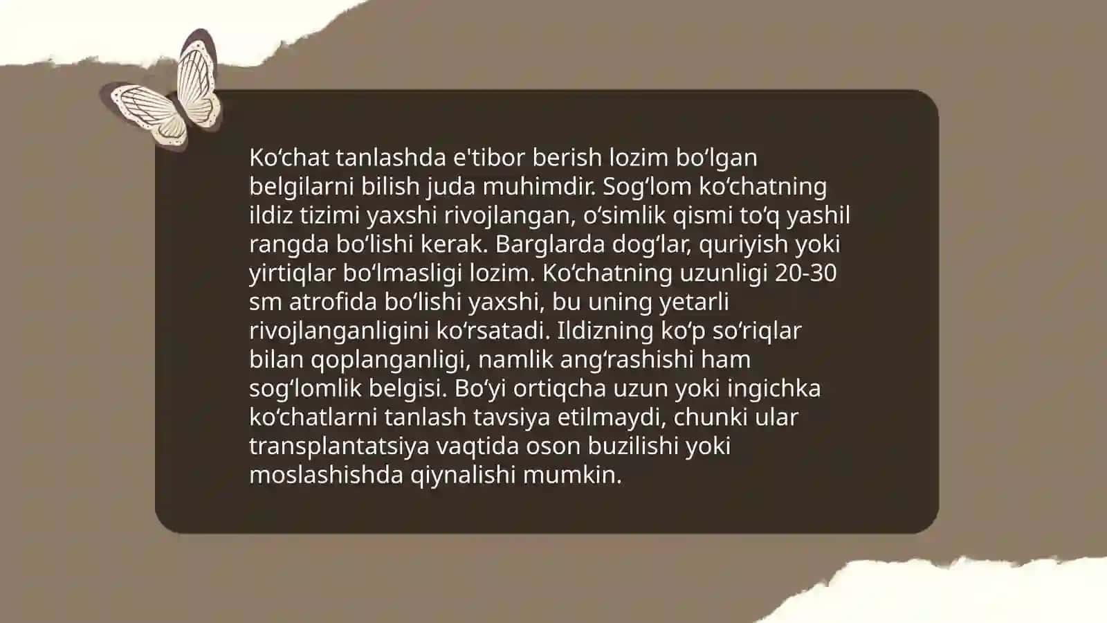 Rezavor mevali o'simliklar ko'chatini yetishtirish texnologiyasi 4