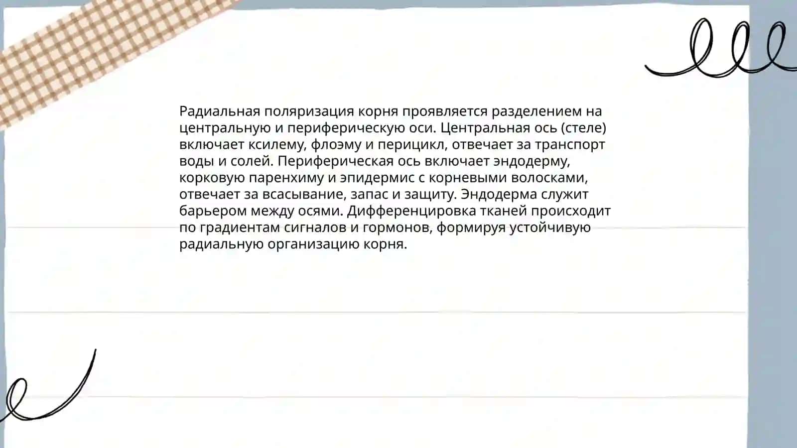Поляризация, вегетативные органы высших растений: корня, стебля и почки 4