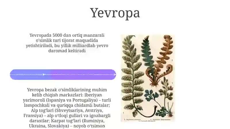 Manzarali oʻsimliklar bo'yicha tadqiqotlar 4
