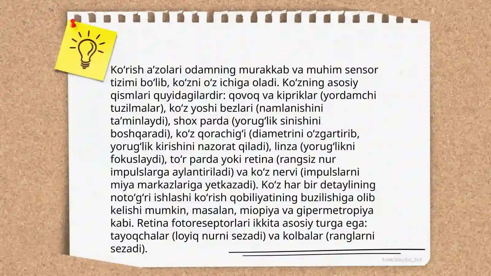 Umurtqali hayvonlar sezgi aʼzolari, sensor (qabul qilish) mexanizmlari 4