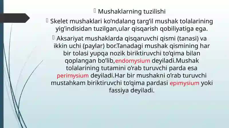 Chanoq va son sohasidagi mushaklari,fassiyasi.Boldir sohasining va oyoq panjasi mushaklari va fassiy 4