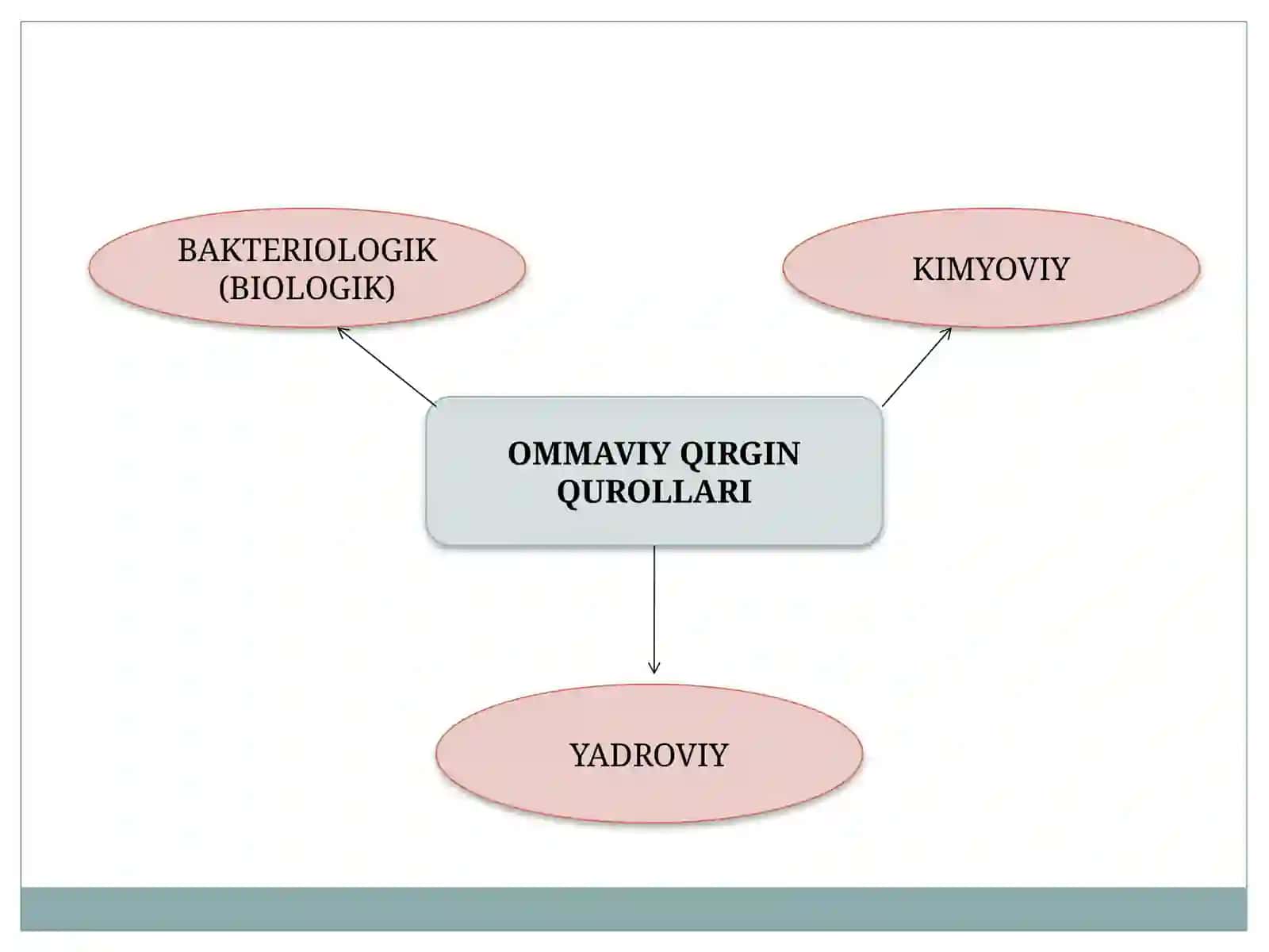 Ommaviy Qirg’in qurollari tasnifi 4