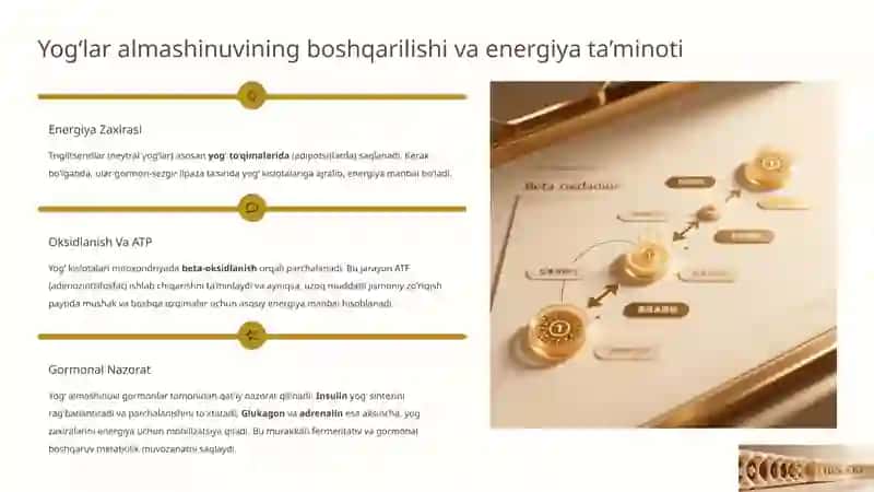 Murakkab lipidlar almashinuvi va yog‘lar almashinuvini boshqarish 4