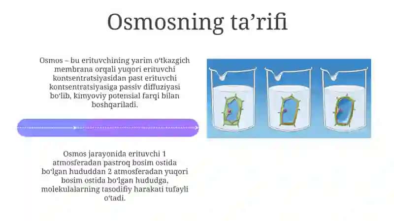 O'simliklar hujayrasi va osmos xodisasi 4