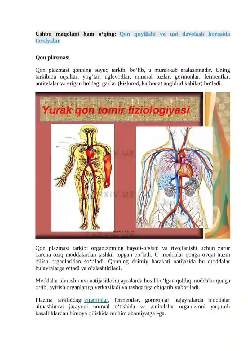 Qon va Qon Yaratuvcisi Anatomiyasi, Fiziologik Xususiyatlari 4