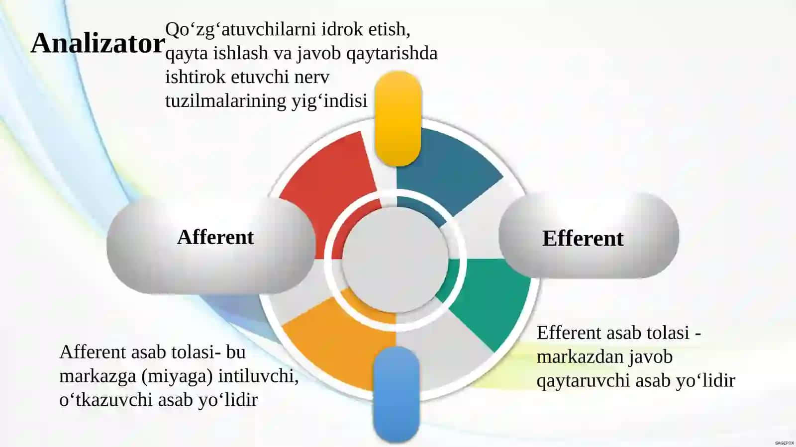 SEZGI 4