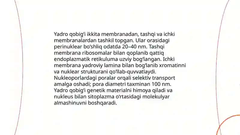 Hujayra yadrosining tarkibi, xromosomalar tuzilishi va ularning xususiyatlari 4
