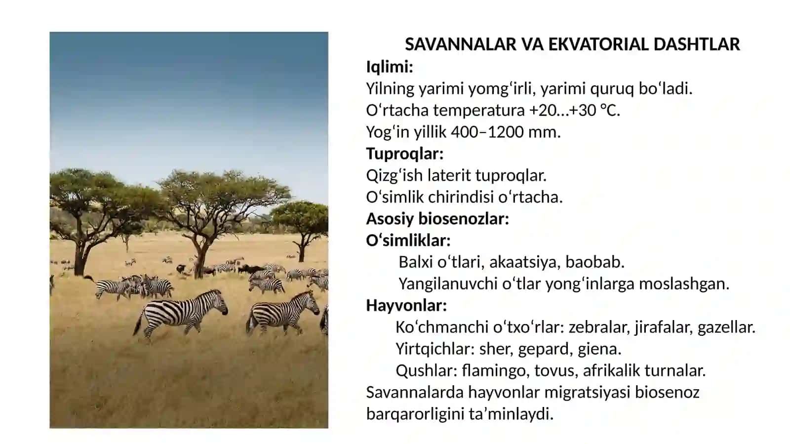 Yersharida quruqlik ekosistemalarining shartli iqlimiy guruhlari va ularning muhim biosenozlari 4