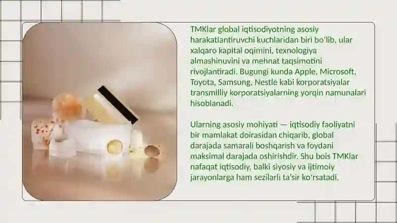 Trans milliy korparatsiyalar 4