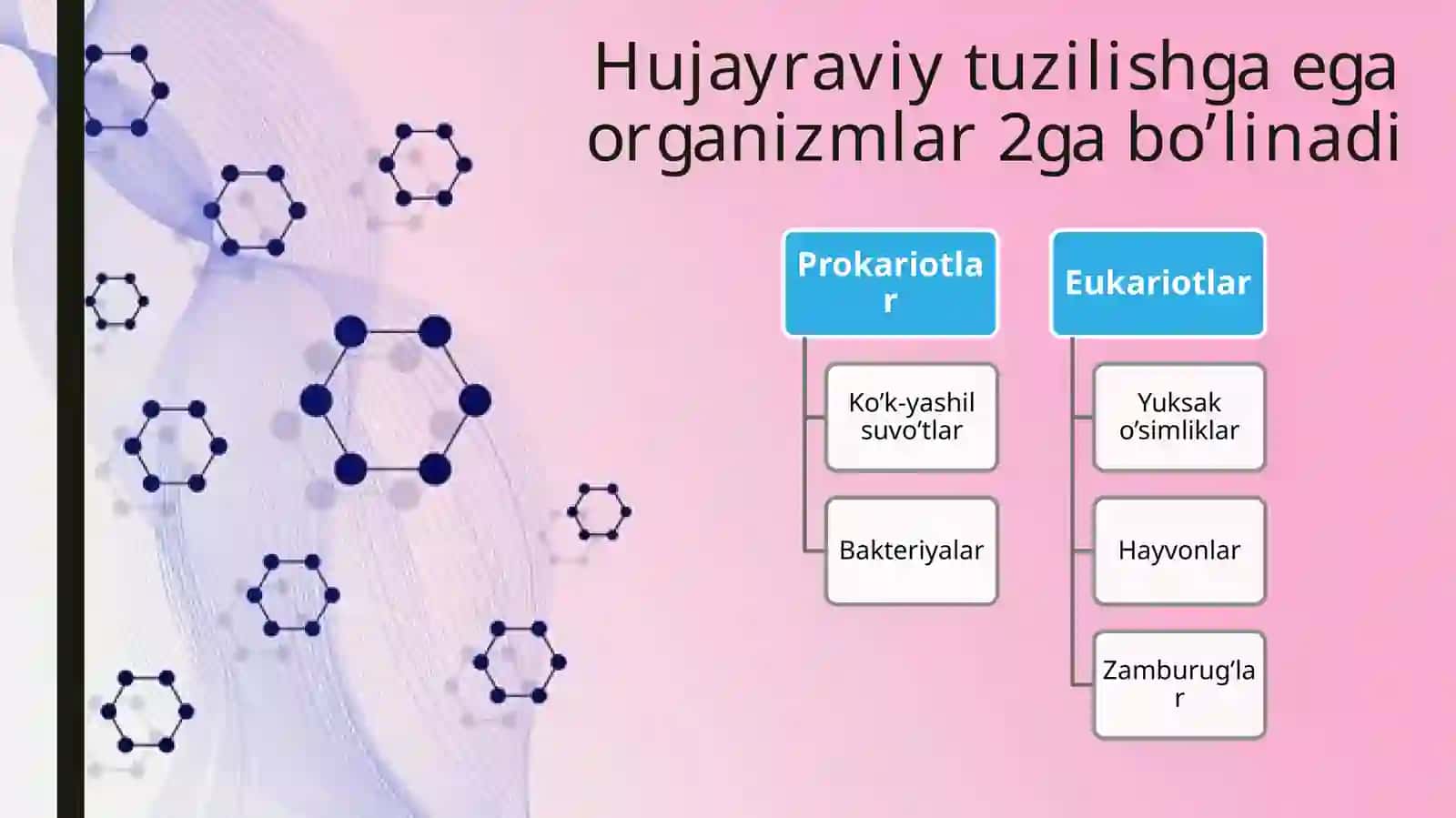 Biologiya,Hujayravato’qimahaqidama’lumot 4