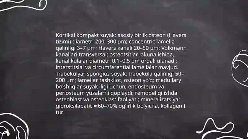 Tayanch-harakatlanish sistemasi(osteologiya). Muskul sistemasi(miologiya) 4