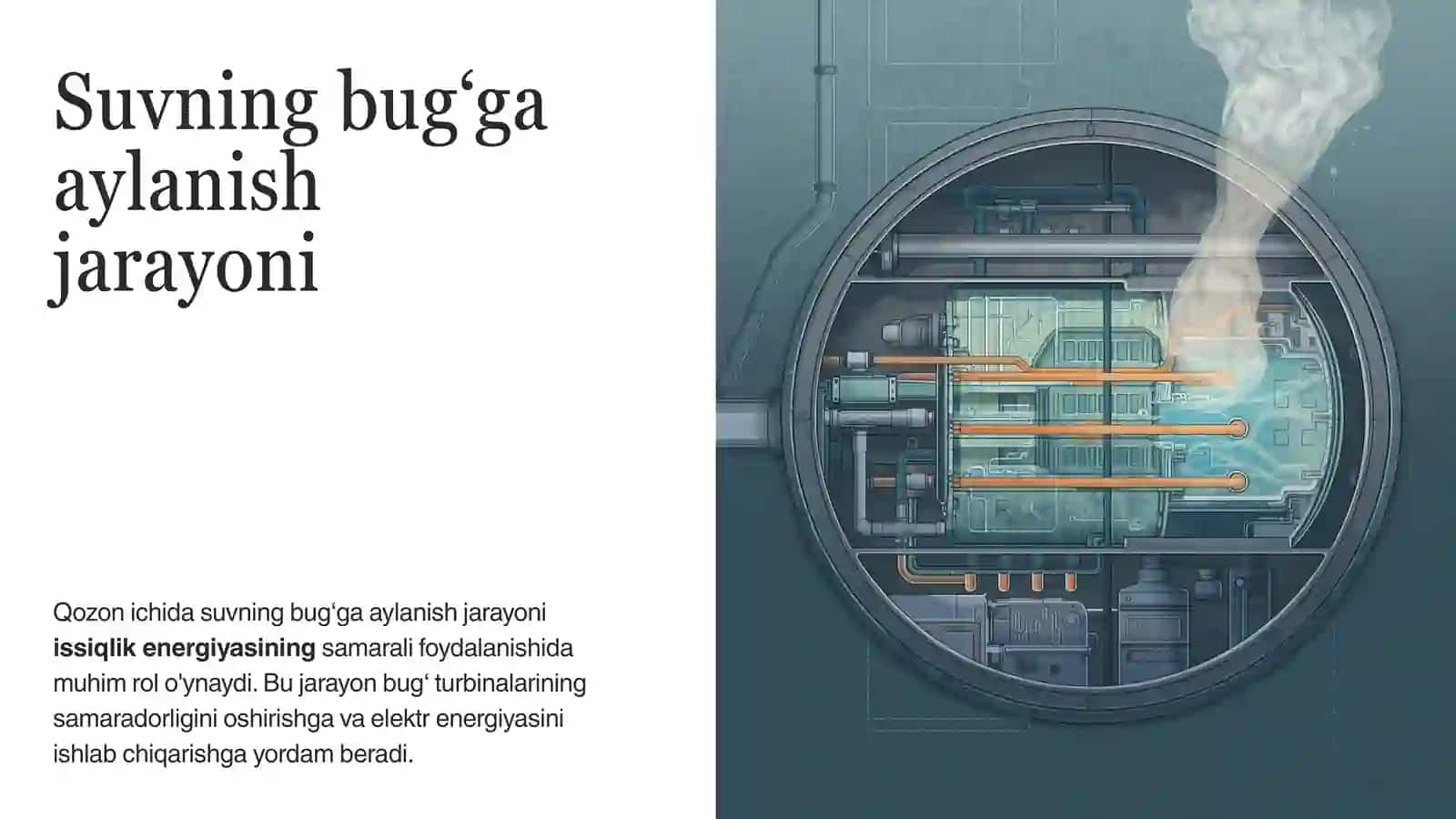 Bug‘ turbinalari 4