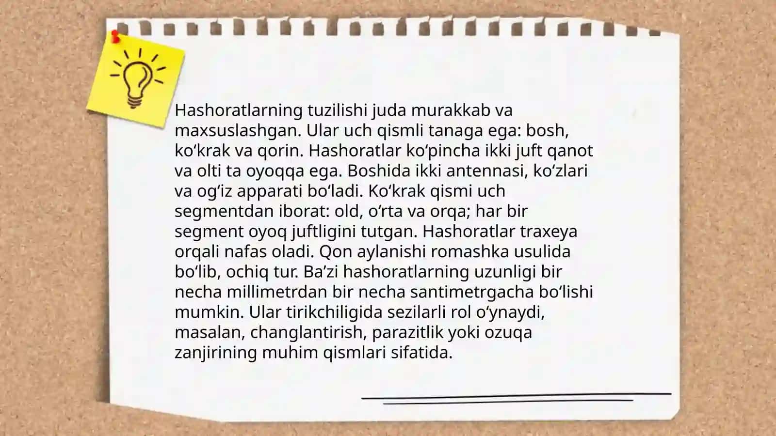 Hayvonlar xilma-xilligi 4