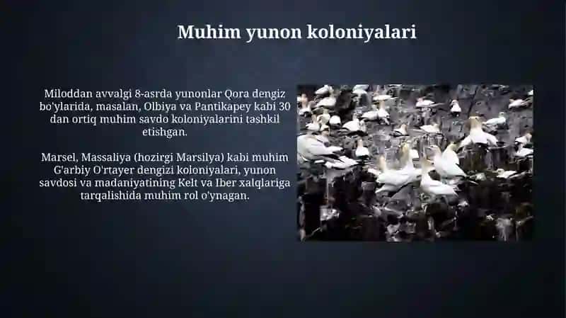 Yunon kolonyalari 4