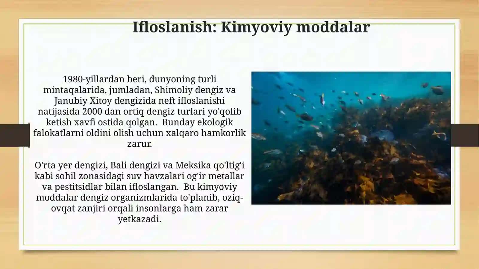Dunyo okeanlarining ekologik muammolari va ularni bartaraf etish yoʻllari 4