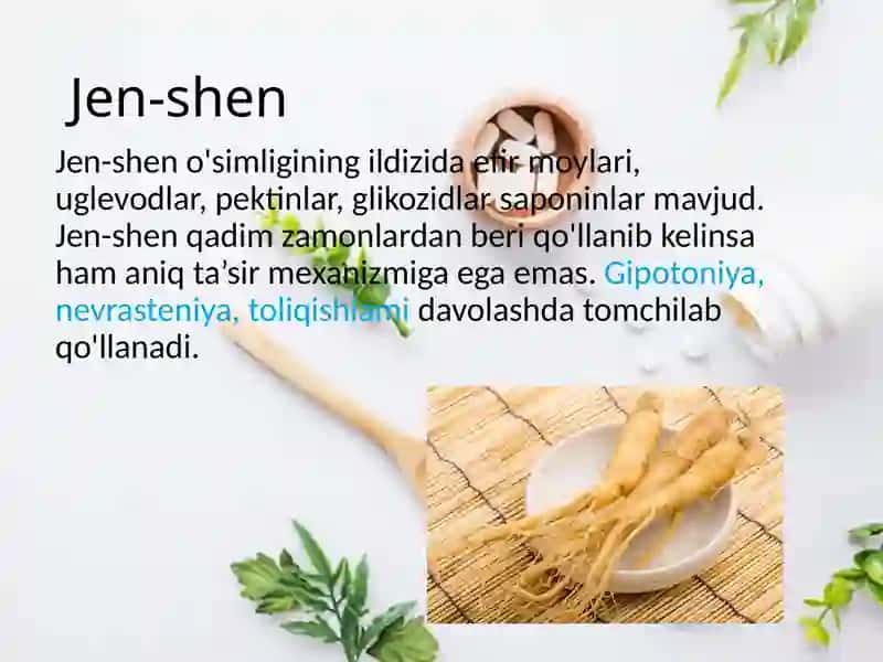 Shizandra (limonnik) 4