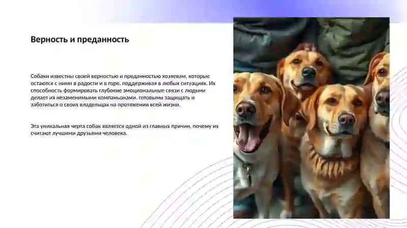 Почему собаку часто называют «лучшим другом человека» 4