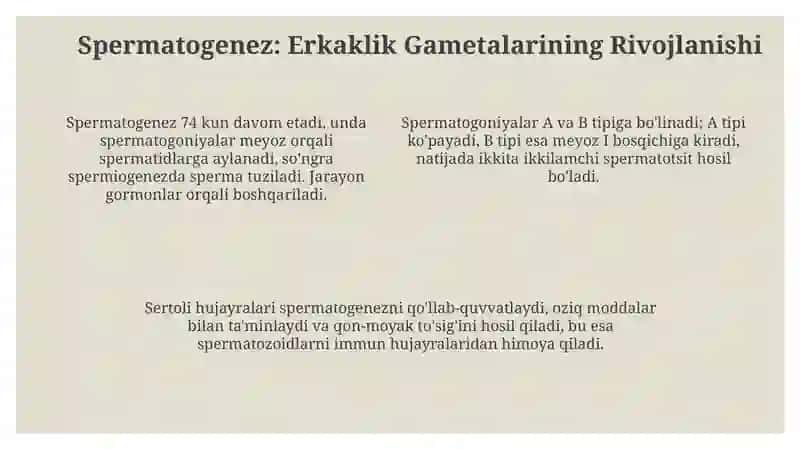 Gametaginez hayvonlarda jinsiy hujayralarning yetilishi 4