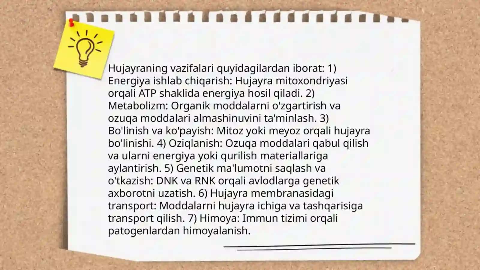 Hujayra 4