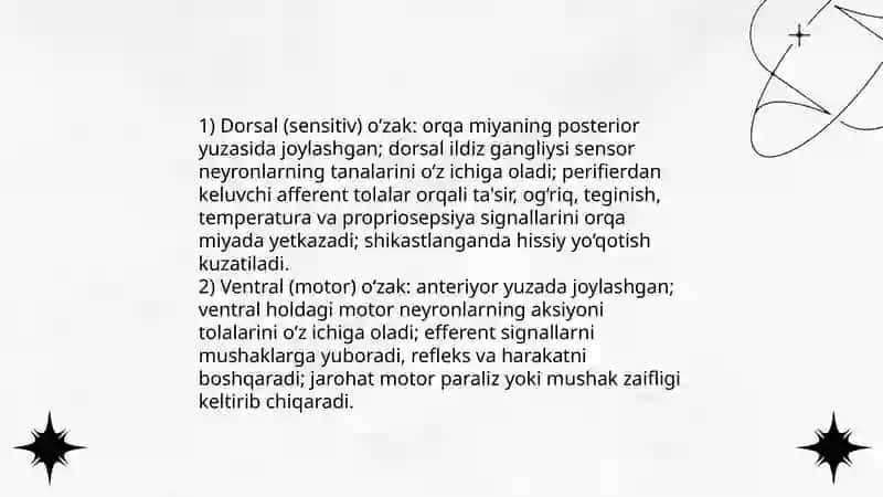 Orqa miyaning òzaklarining joylashuvi va ularning ahamiyati 4
