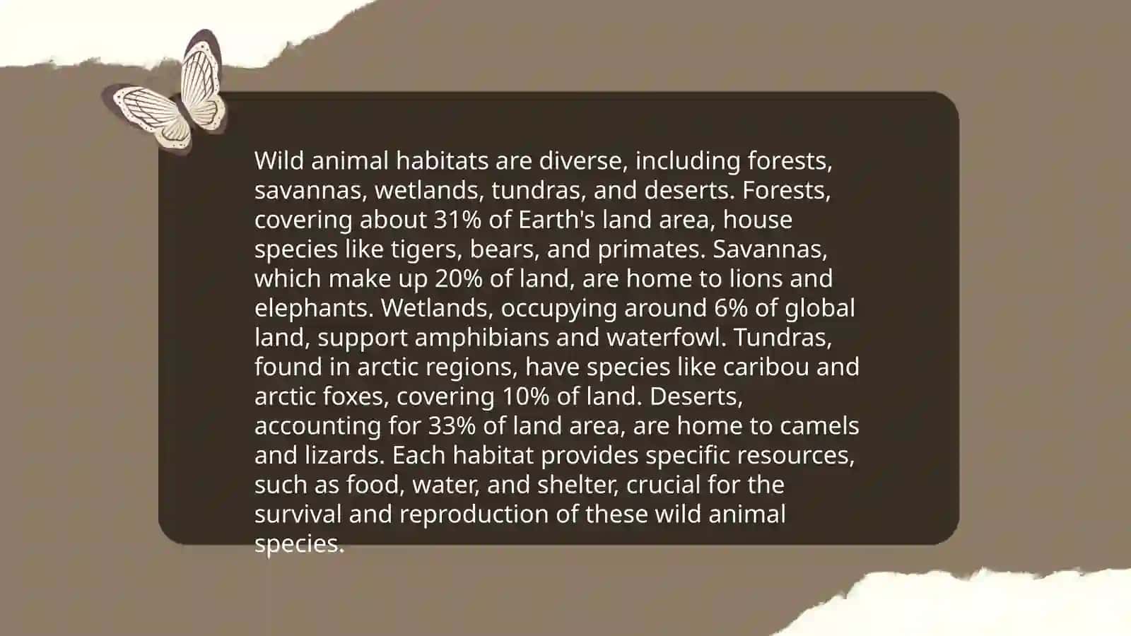 Wild animals 4