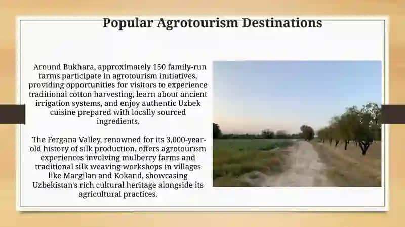 Agrotourism in Uzbekistan 4