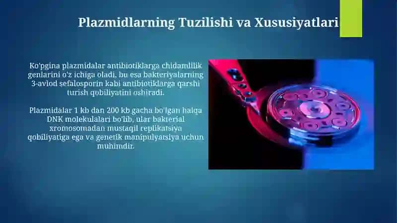 Plazmidlarning Biotexnologiyadagi Istiqbollari 4