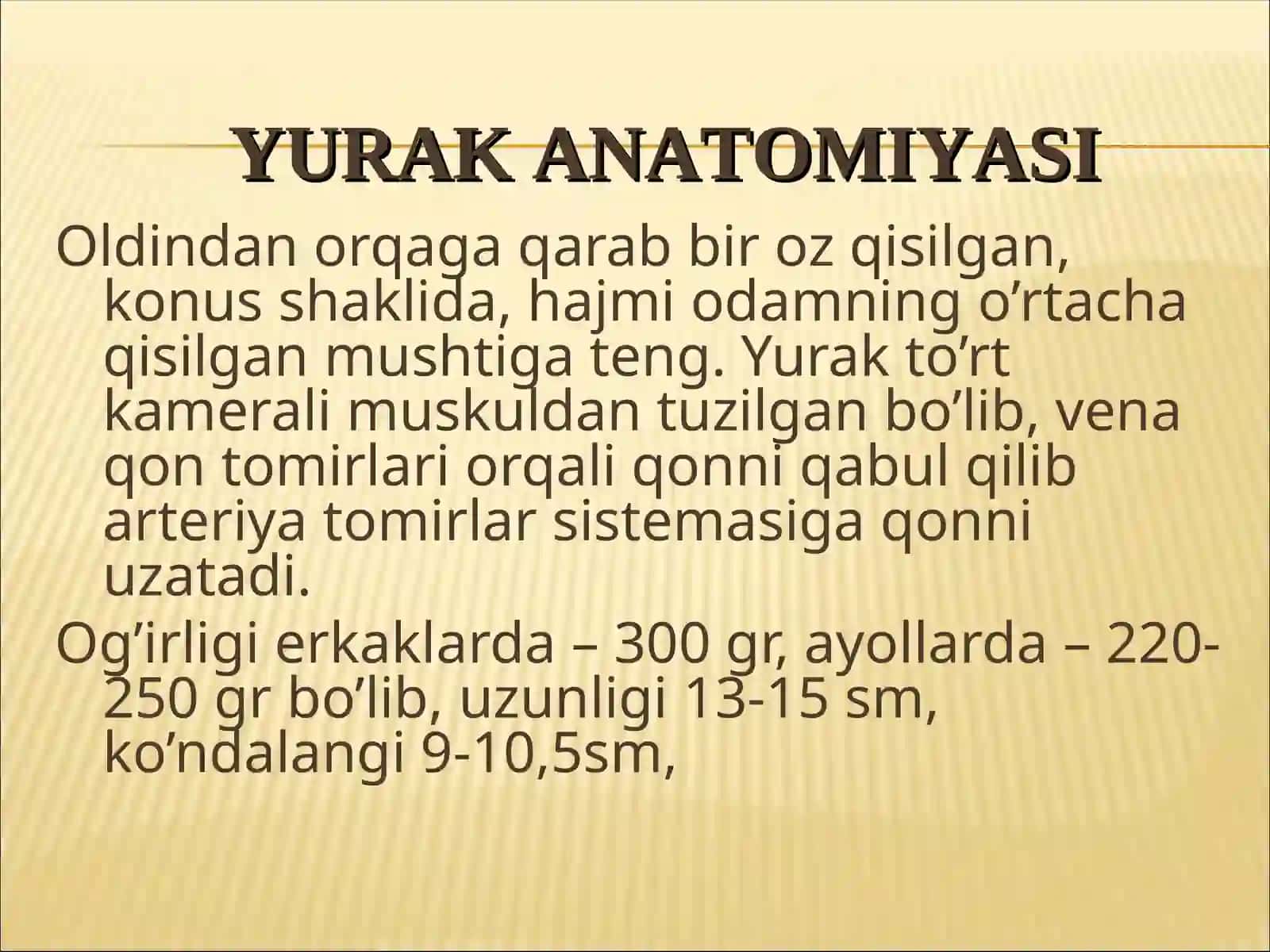 Yurak anatomiyasi 4