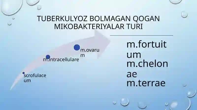 Tuberkulyozetiologiyasi va patogenezi 4