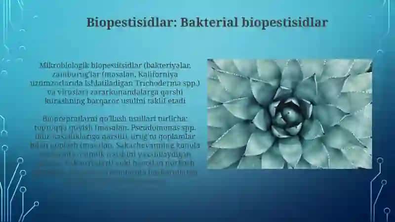 Mikroorganizmlarning qishloq xoʻjaligida 4