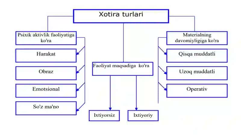 Xotira 4