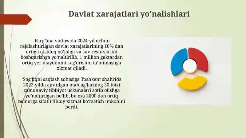 Davlat buyudjeti va uning tuzilishi 3 reja xulosa 4