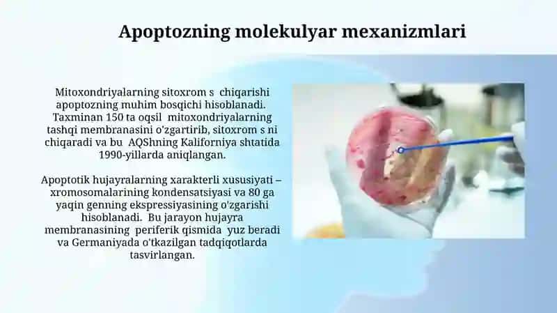 Hujayra Biologiyasi 4