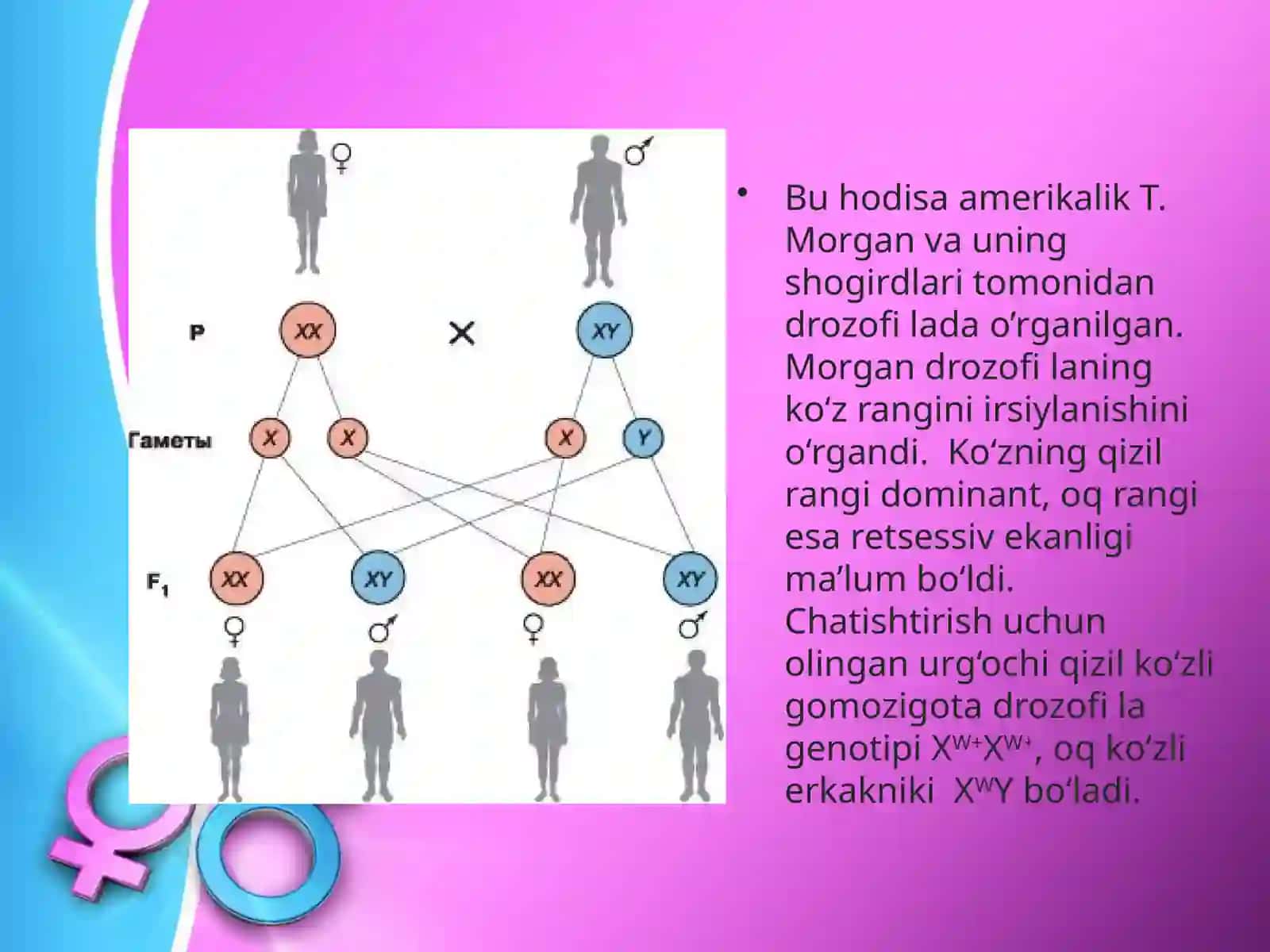 Genetika va Biotexnologiya Fanidan Tayorlangan Taqdimot Ishi 4