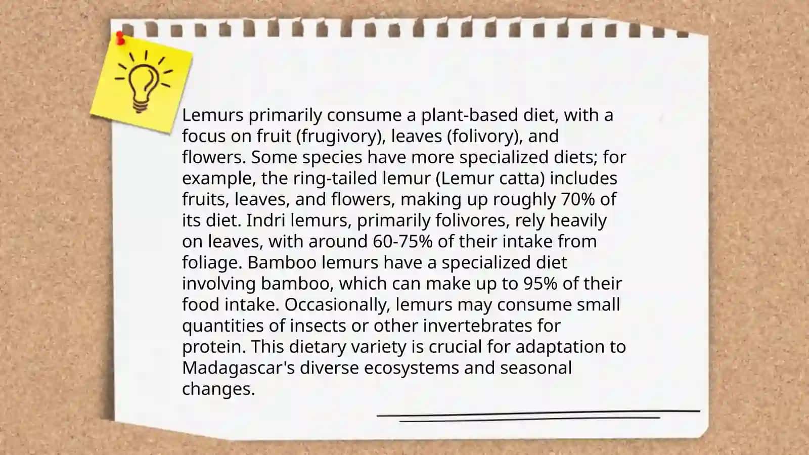 Lemur 4