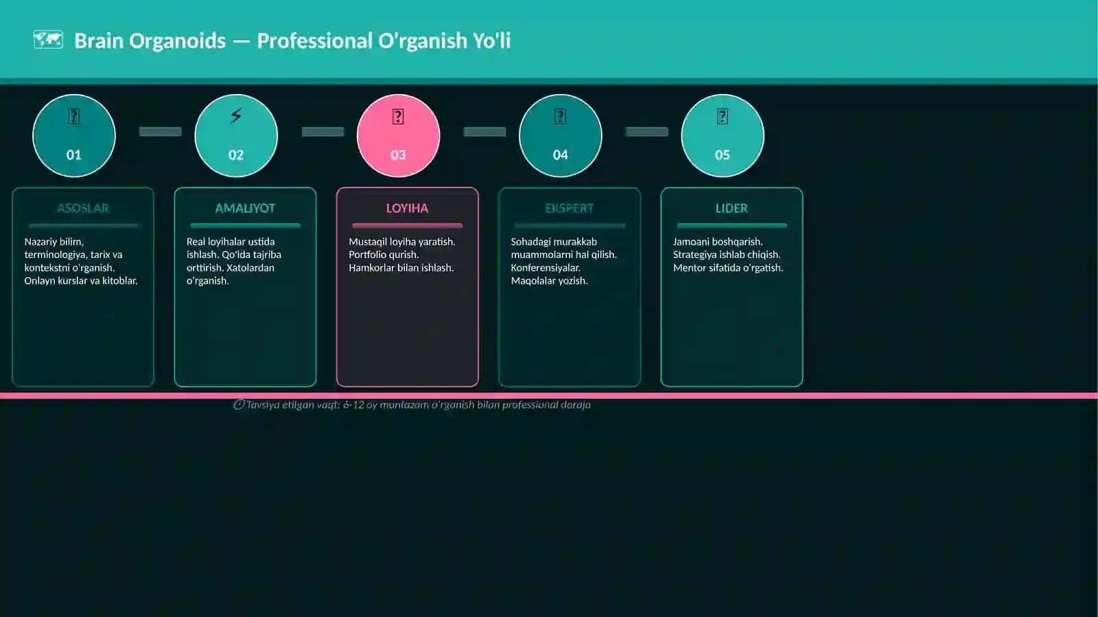 Brain Organoids — Raqamlar Bilan 4