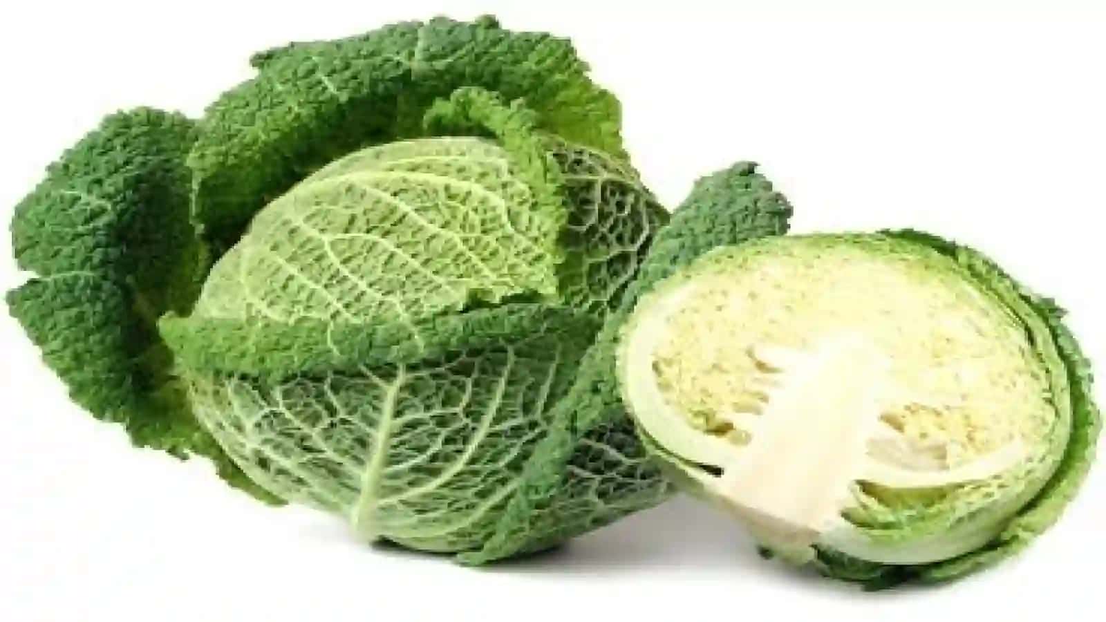 6-sinf Botanika dars ishlanma. Karamdoshlar oilasi 4