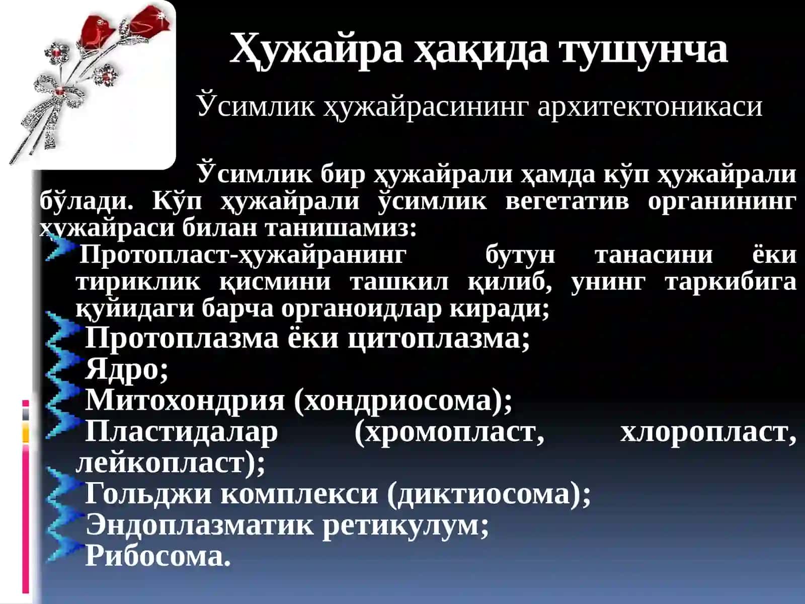 Ботаникаваўсимликларфизиологиясифани 4