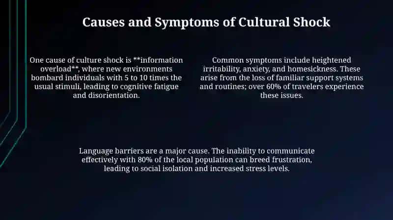 Cultural Shock 4