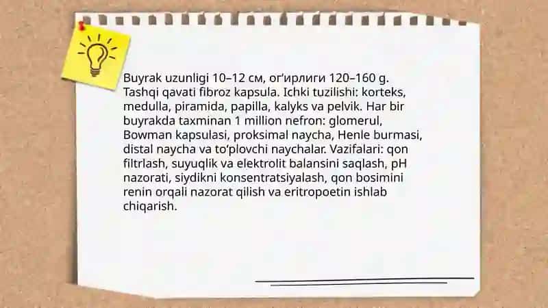 Siydik ayiruv tizimi 4