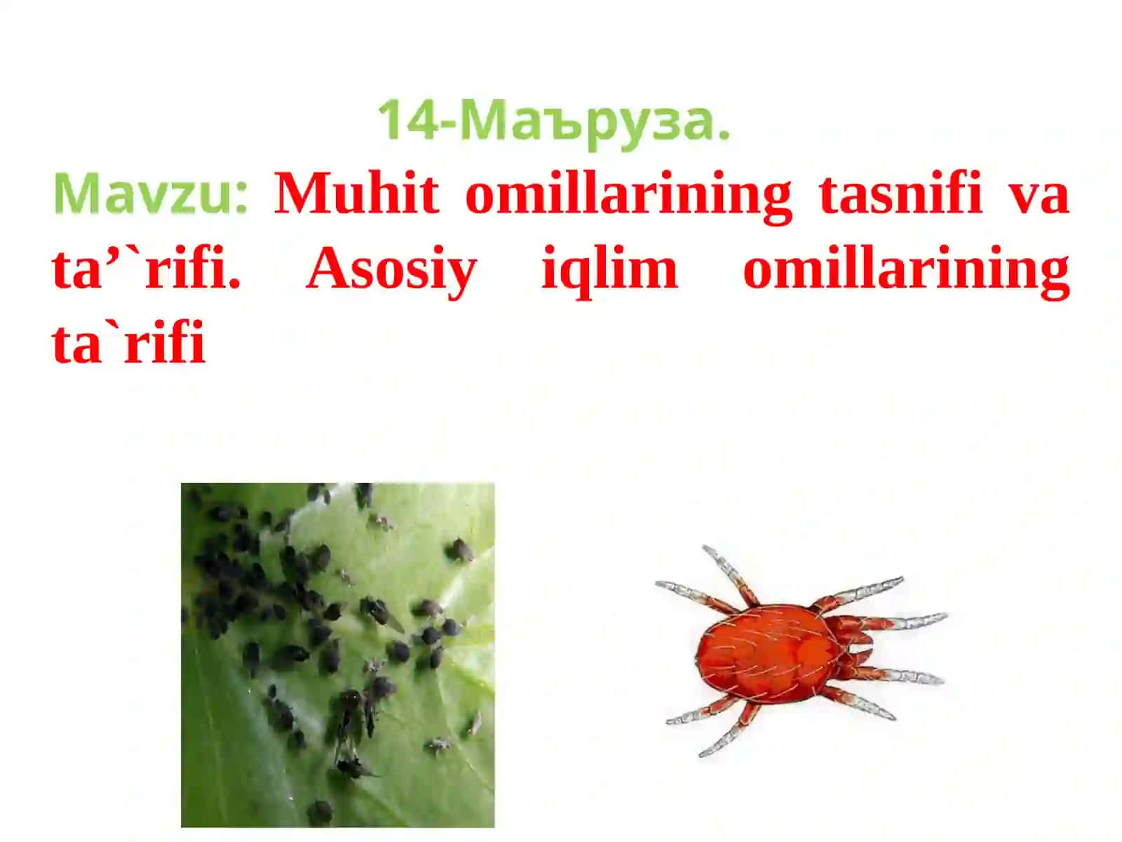 BIOEKOLOGIYA Fanidan 14-ma’ruza 4