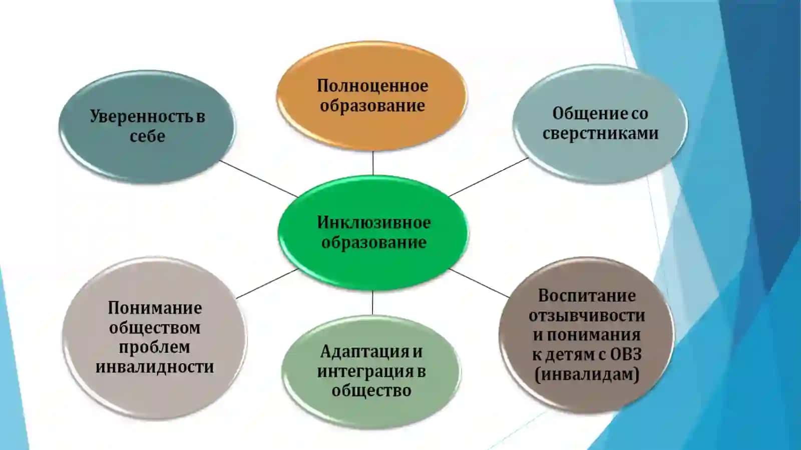 Принцип организации инклюзивного образования и этапы участия в инклюзивномобразованиии 4