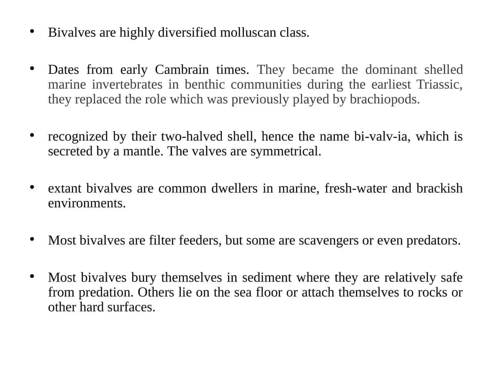 Phylum Mollusca 4