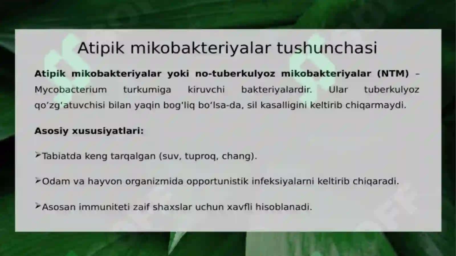 Atipikmikobakteriyalar vaularning ahamiyati 4