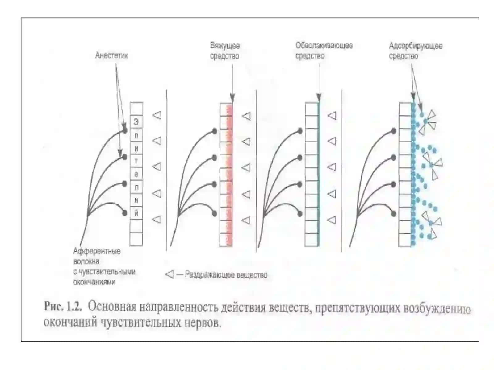 АСАБ СИСТЕМАСИГА ТАЪСИР ЭТУВЧИ ДОРИ (НЕЙРОТРОП) ВОСИТАЛАР 4