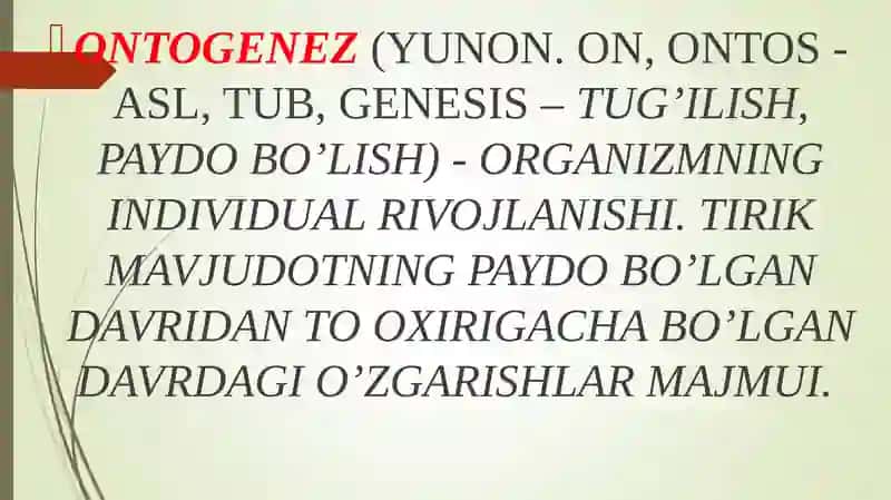 ONG TARAQQIYOTI VA ONGSIZLIK 4