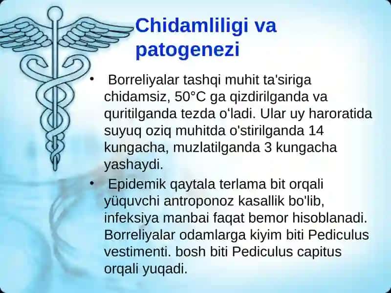Borreliozlar 4