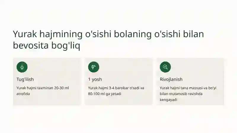 Yurak rivojlanishi 4